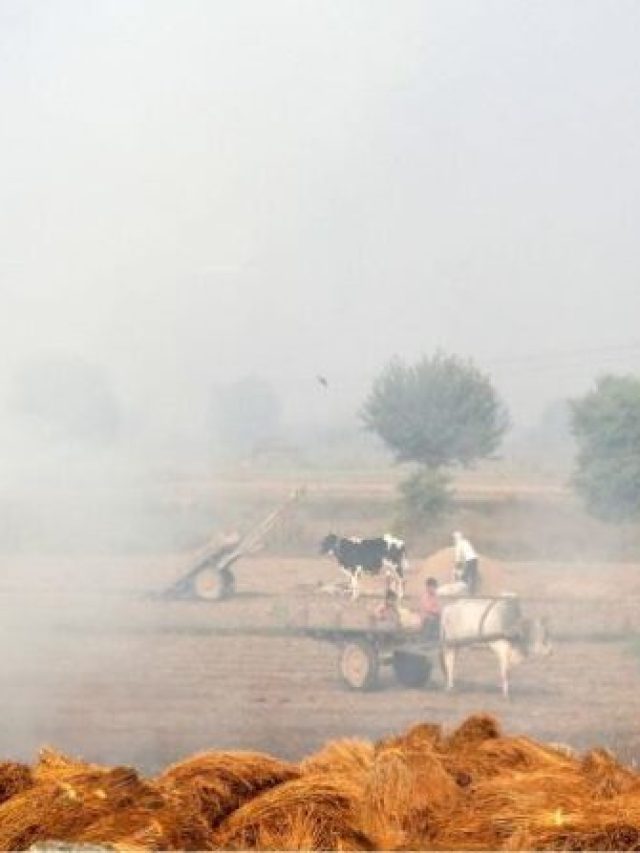 Hidden Impacts: Air Pollution in Rural Pakistan